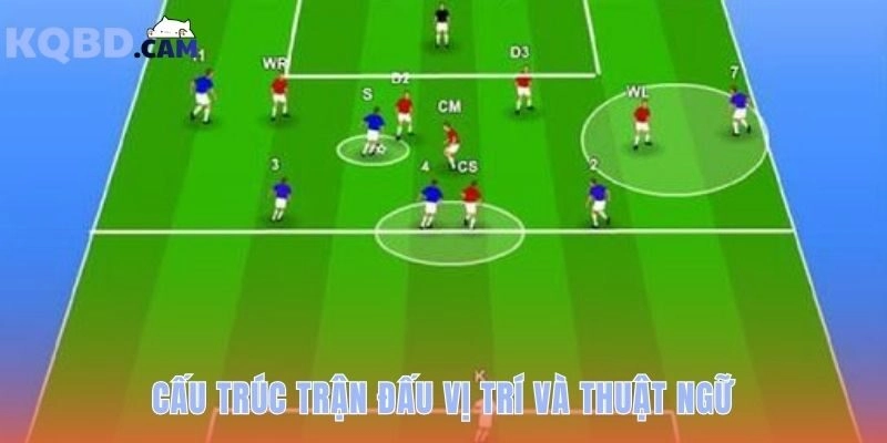 Giải mã 4 vị trí trên sân cùng các thuật ngữ hay gặp nhất